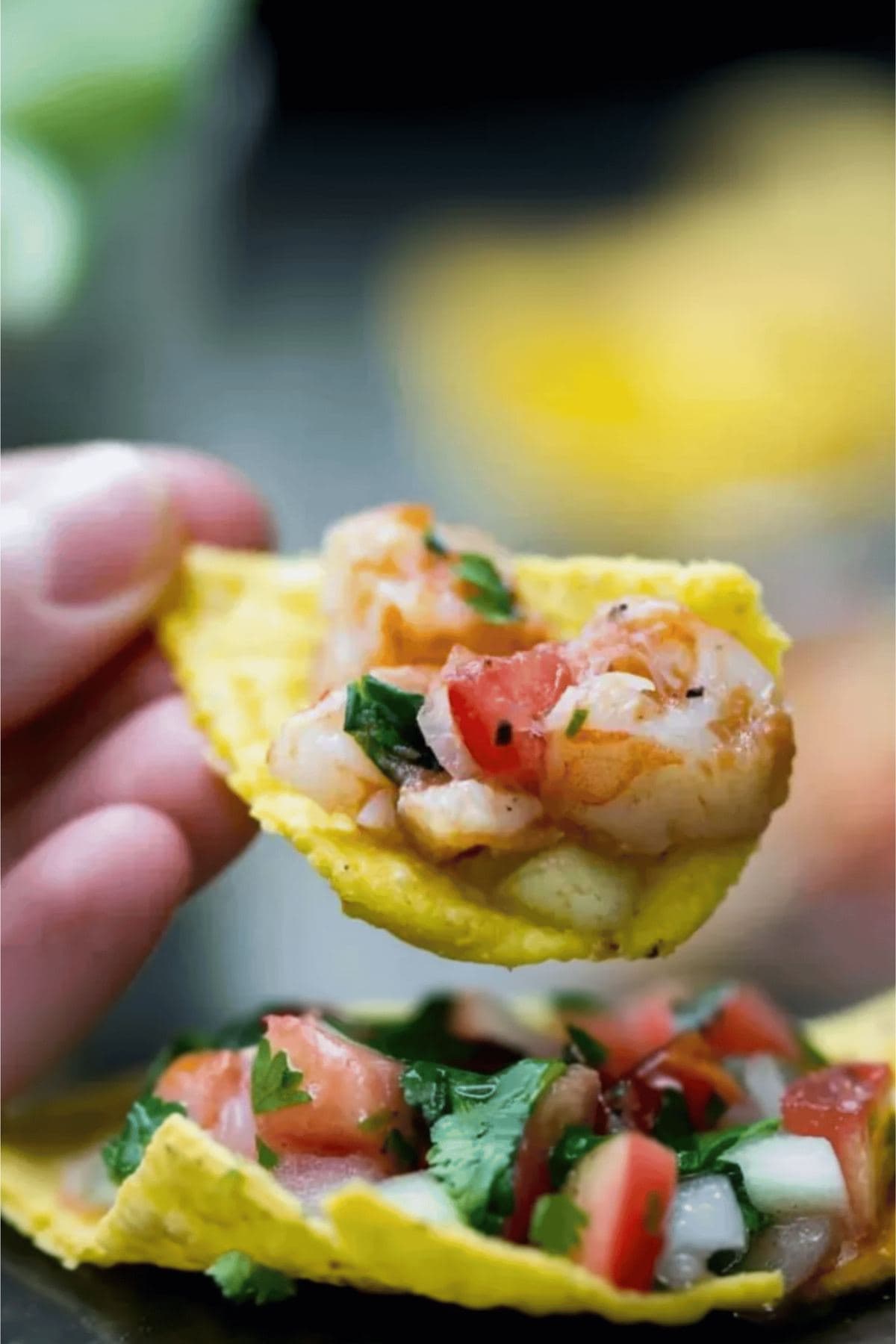 Shrimp ceviche with tomato, serrano and avocado on a crisp tortilla chip