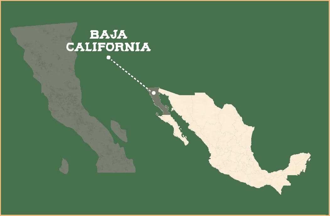 Illustrated map of Baja California and mainland Mexico